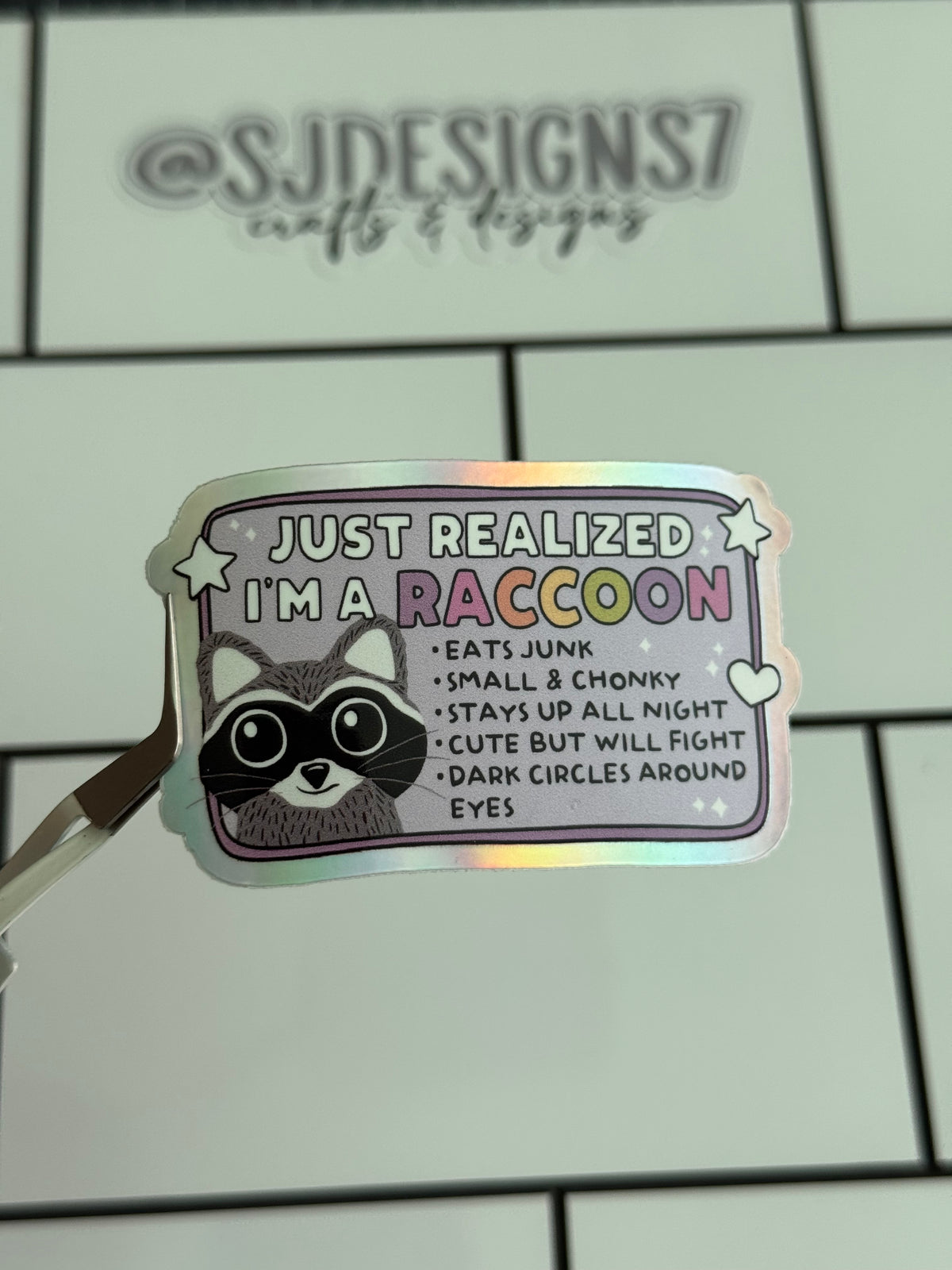 JUST REALIZED I’M A RACCOON