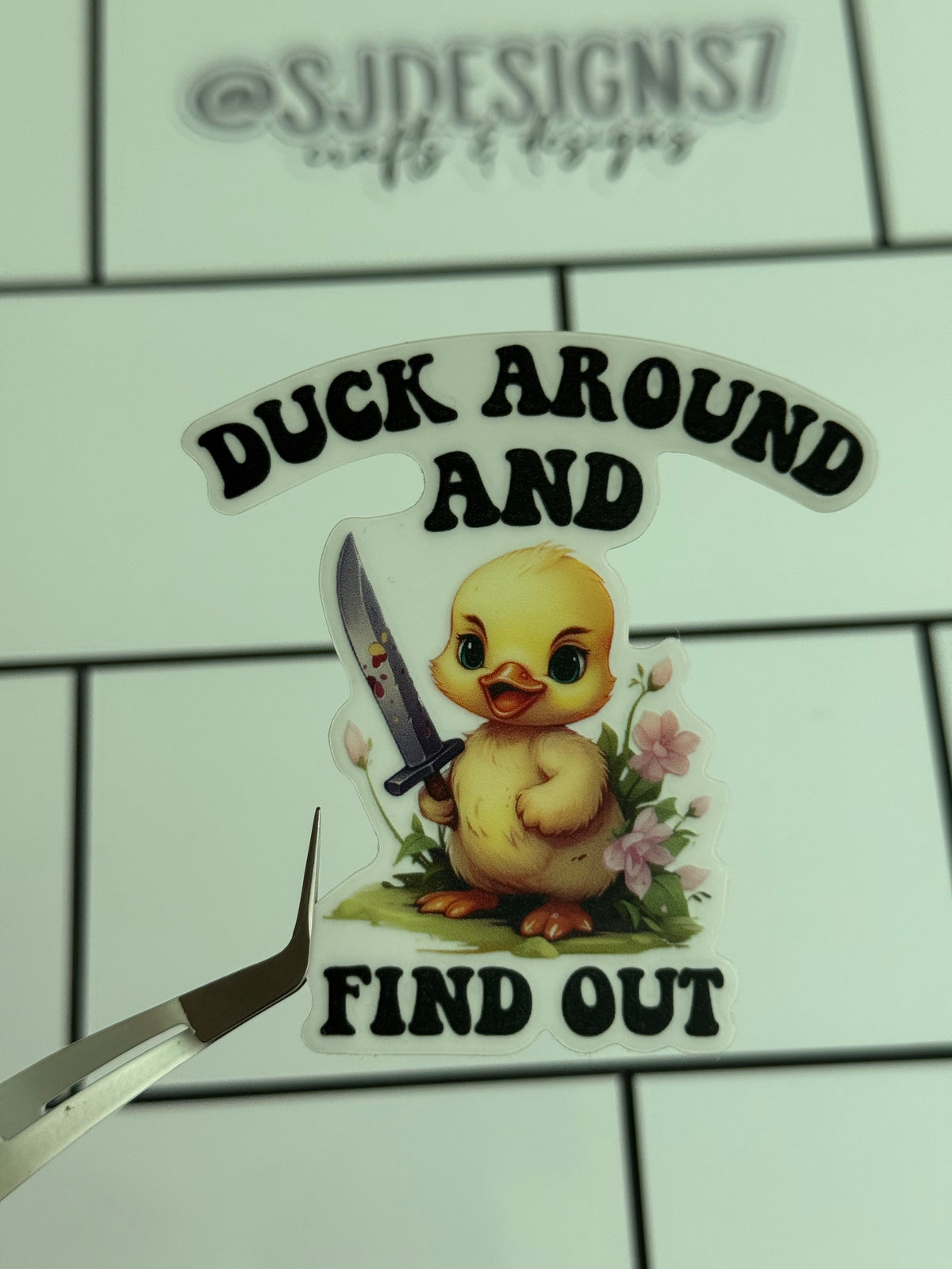 DUCK AROUND AND FIND OUT