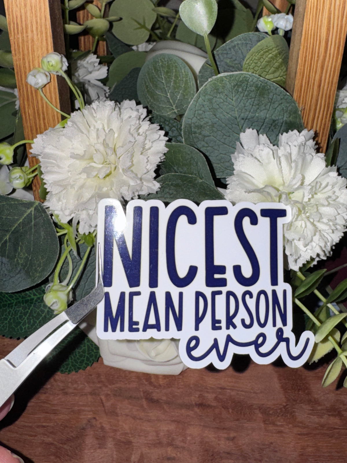 NICEST MEAN PERSON EVER