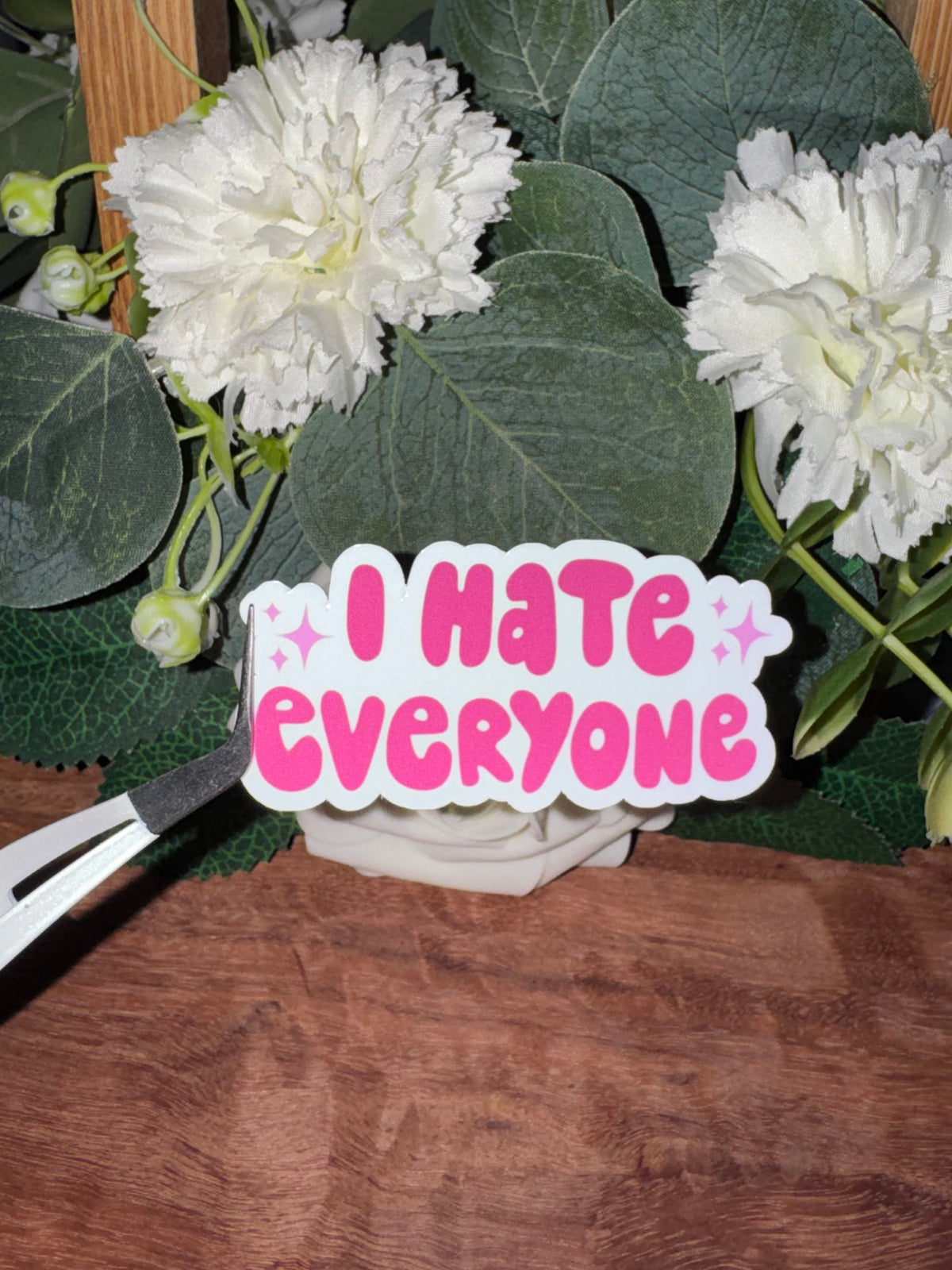 I HATE EVRYONE